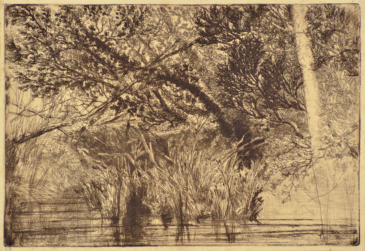 Usta potoku nr 1 autorstwa Francis Seymour Haden