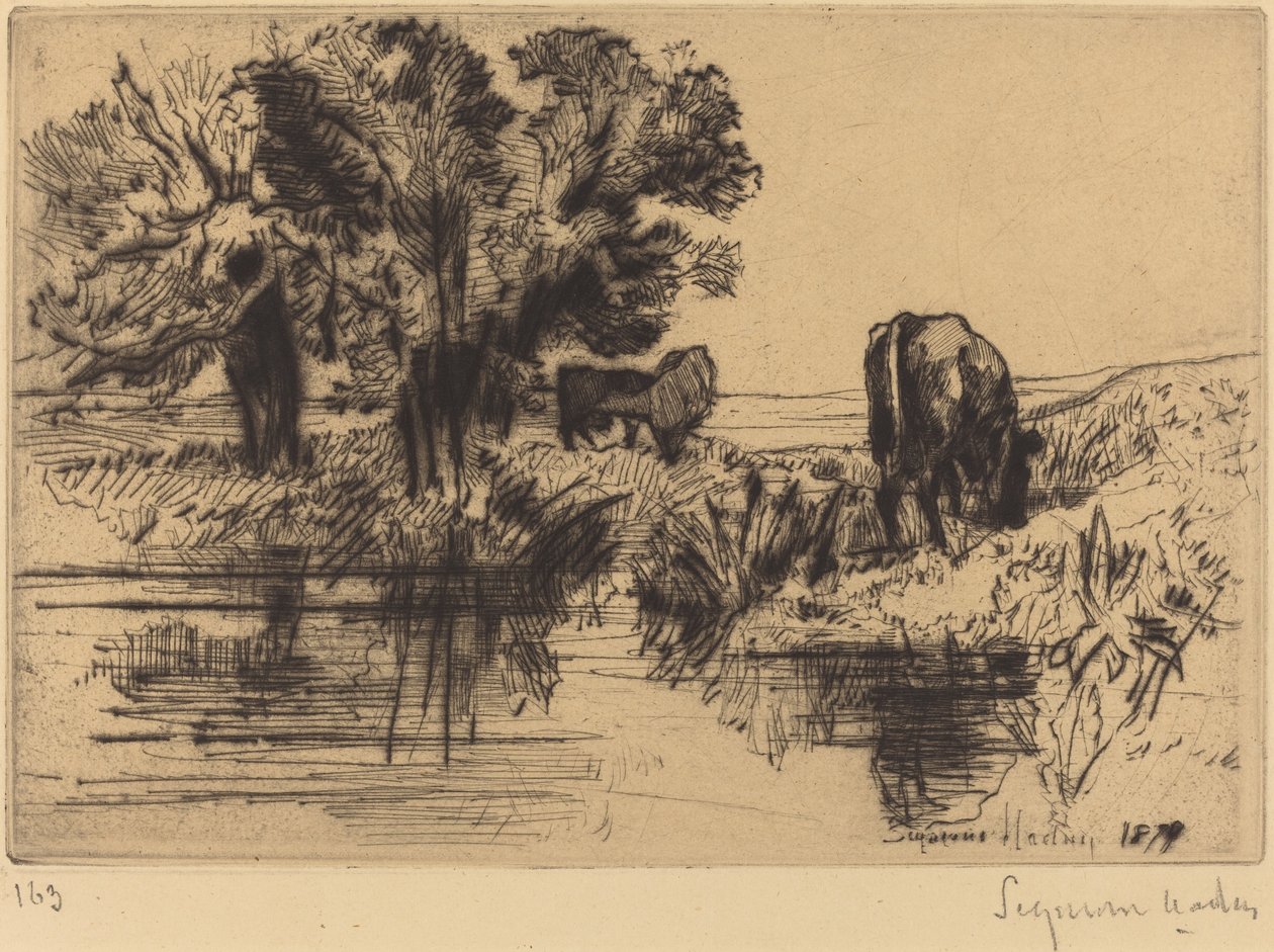 Trzy krowy autorstwa Francis Seymour Haden