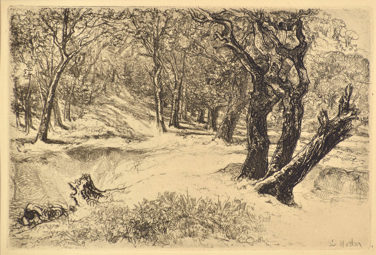 Trzy siostry autorstwa Francis Seymour Haden