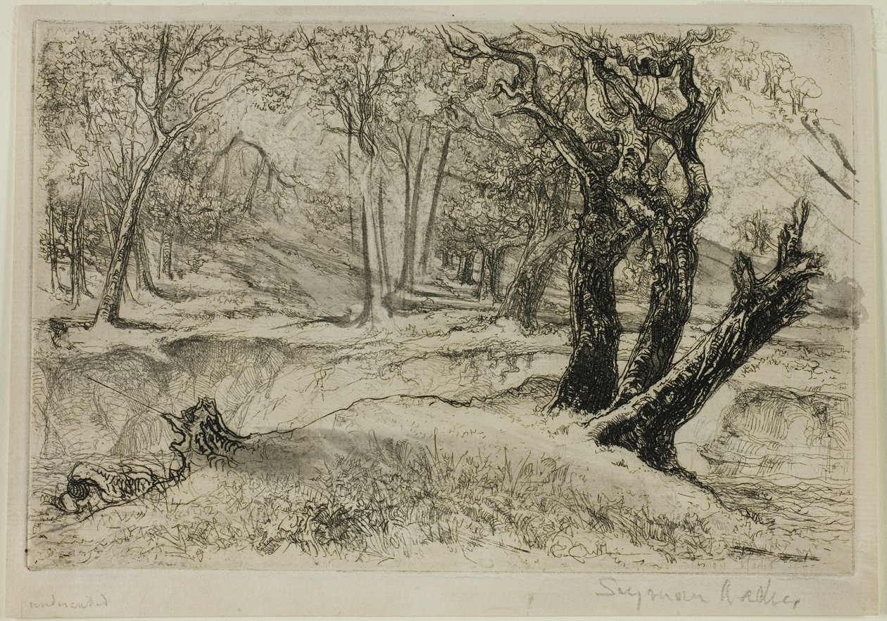 Trzy siostry autorstwa Francis Seymour Haden