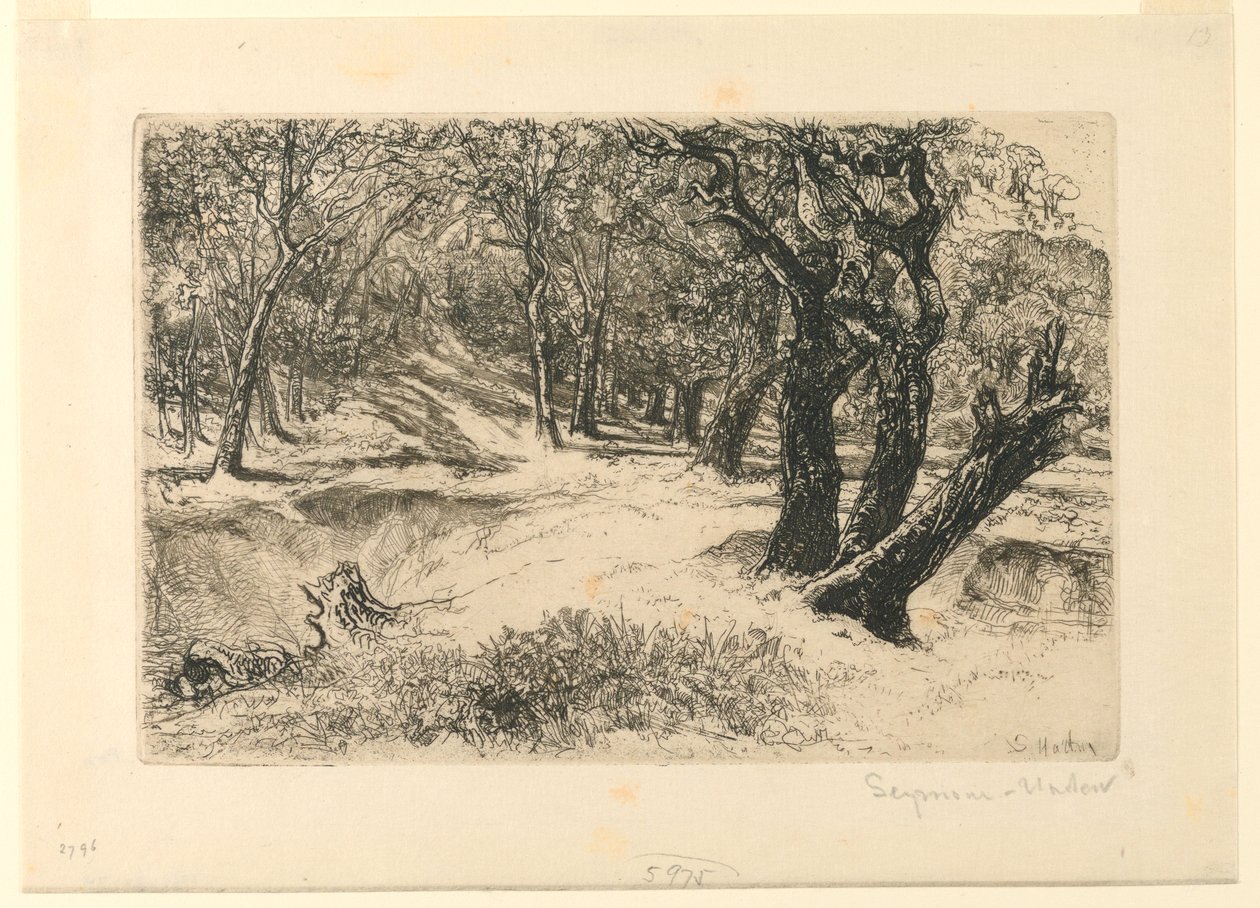 Trzy siostry autorstwa Francis Seymour Haden