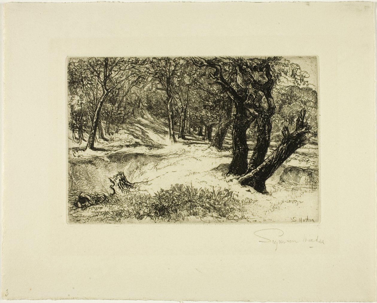 Trzy siostry autorstwa Francis Seymour Haden