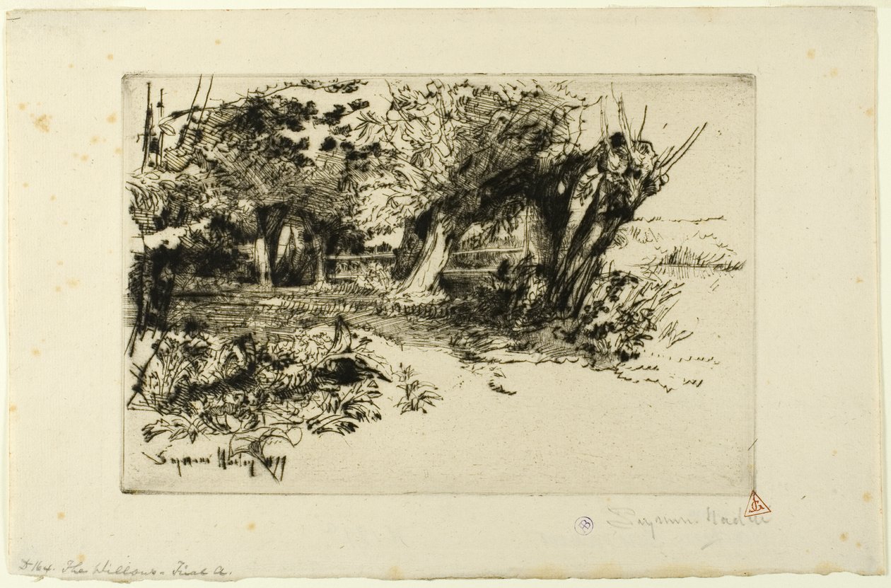 Wierzby autorstwa Francis Seymour Haden