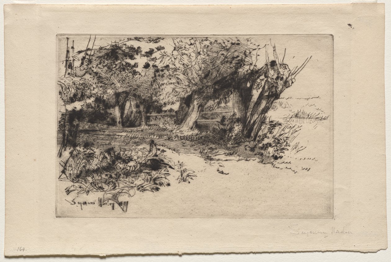 Wierzby autorstwa Francis Seymour Haden