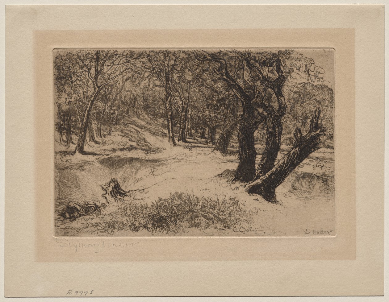 Trzy siostry autorstwa Francis Seymour Haden