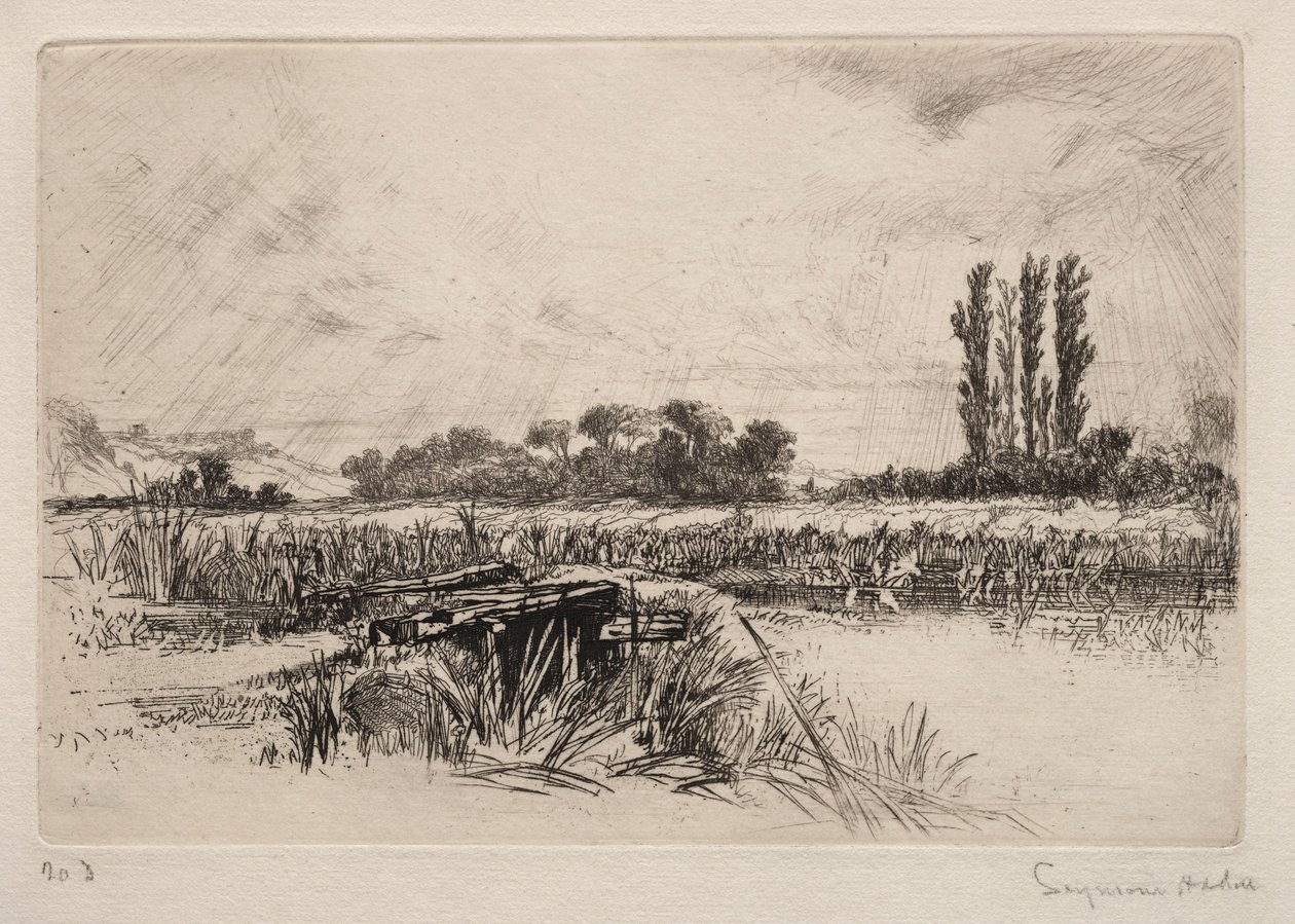 Łąka Wodna, 1859. autorstwa Francis Seymour Haden
