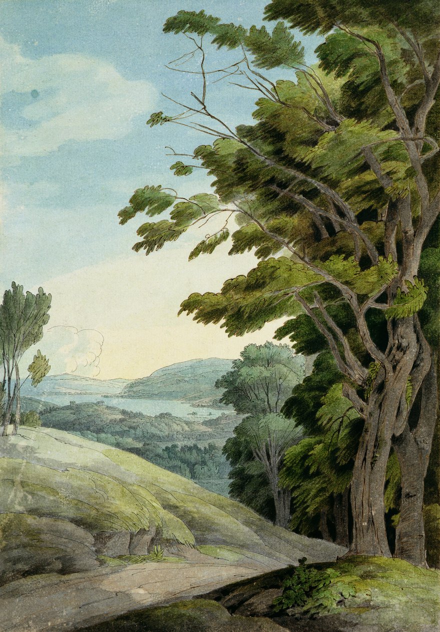Widok z Rydal Park (pióro i tusz oraz akwarela na papierze) autorstwa Francis Towne