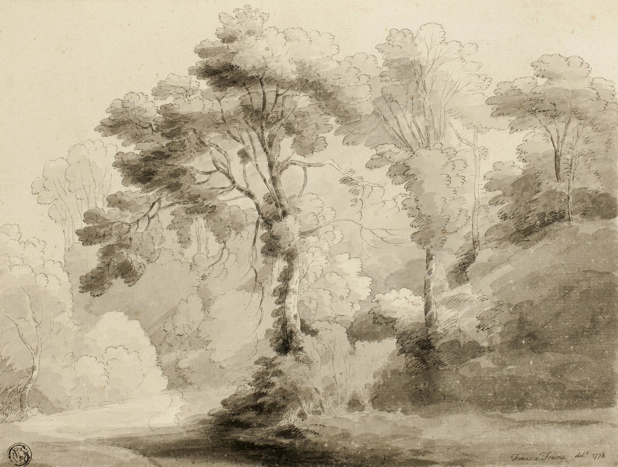 Zalesiony krajobraz, 1774 autorstwa Francis Towne