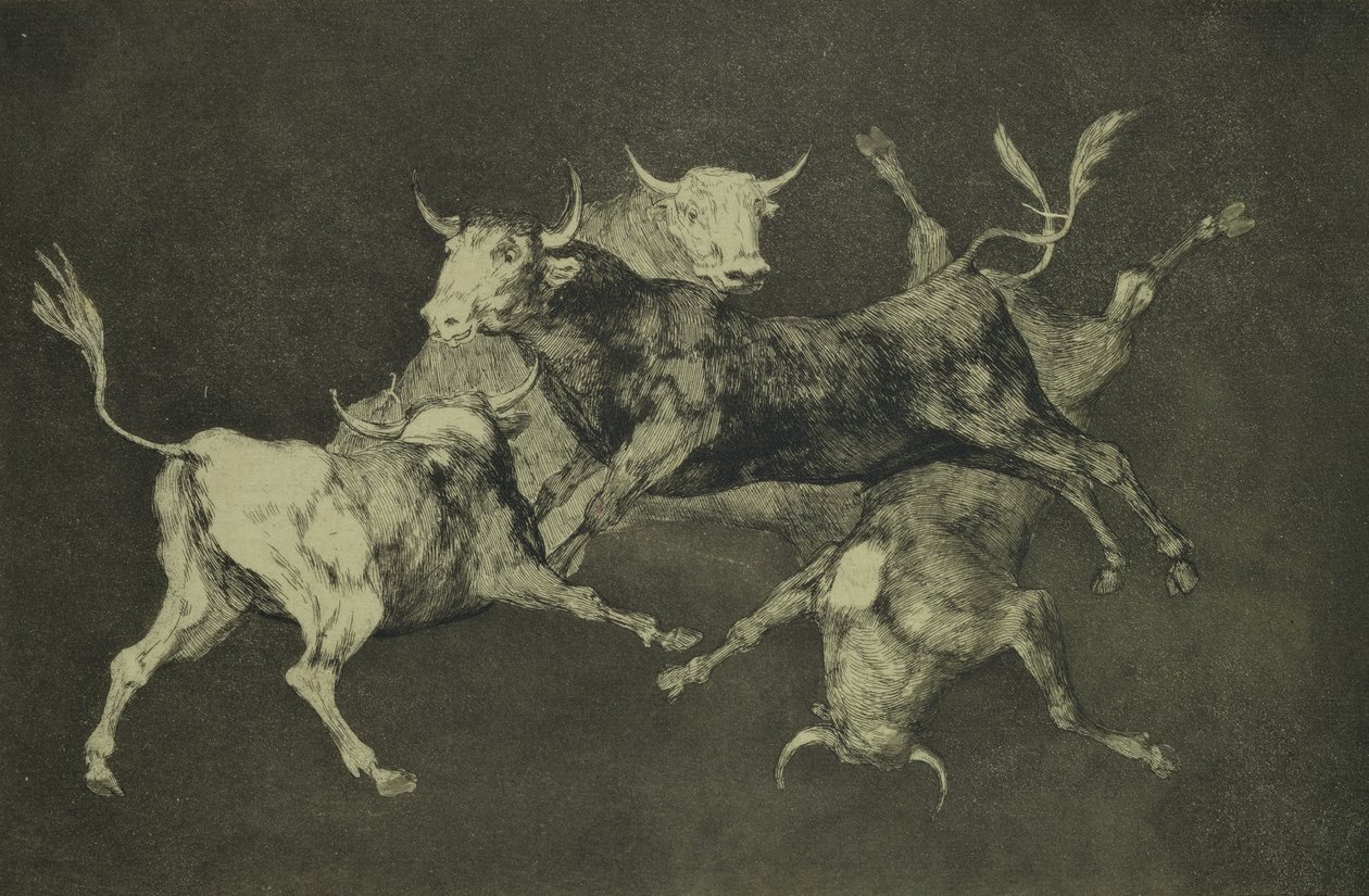 Folly of the Bulls, z serii Follies, ok. 1815-24 (akwaforta i akwatinta na papierze japońskim) autorstwa Francisco de Goya