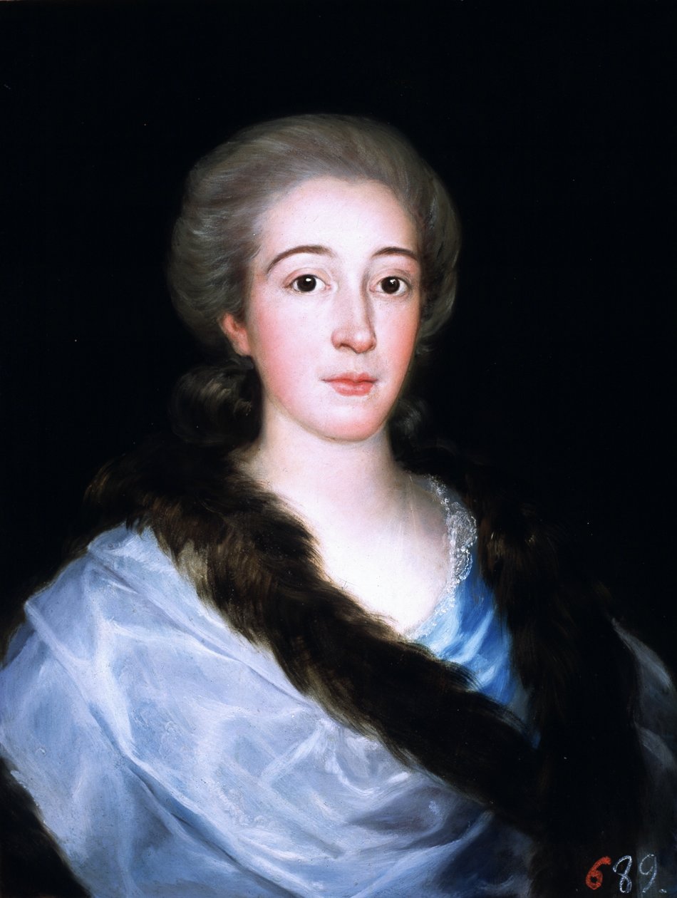 Portret pani Marii Teresy de Vallabriga y Rozas autorstwa Francisco de Goya