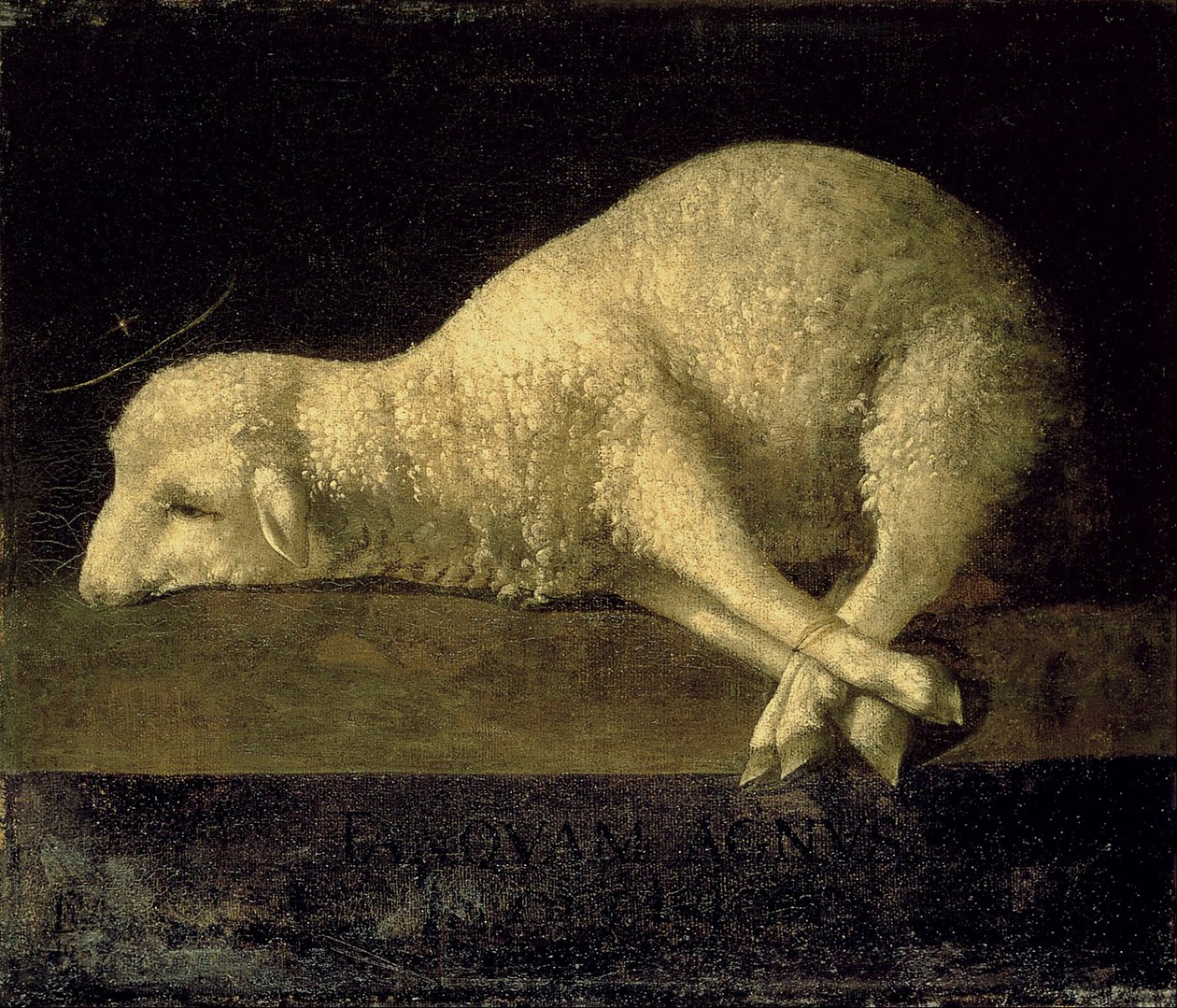 baranek Boży autorstwa Francisco de Zurbaran