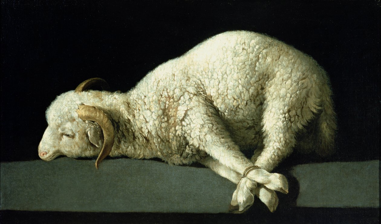 Baranek Boży, ok. 1635-40 autorstwa Francisco de Zurbaran