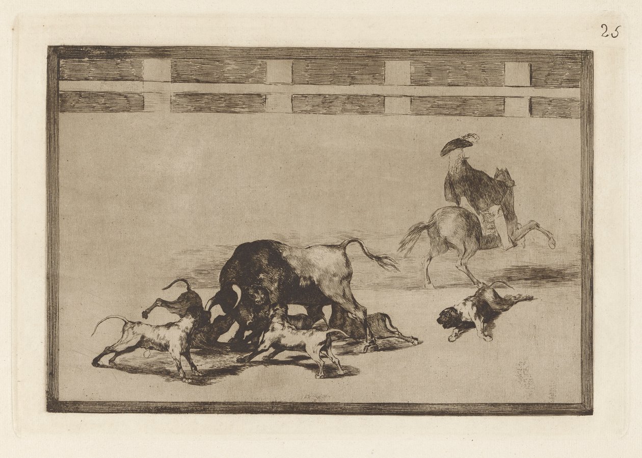 Echan perros al toro (Wypuszczają psy na byka), płyta 25 z La tauromaquia autorstwa Francisco de Goya