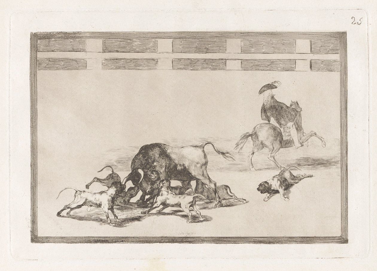 Echan perros al toro (Wypuszczają psy na byka), płyta 25 z La tauromaquia autorstwa Francisco de Goya