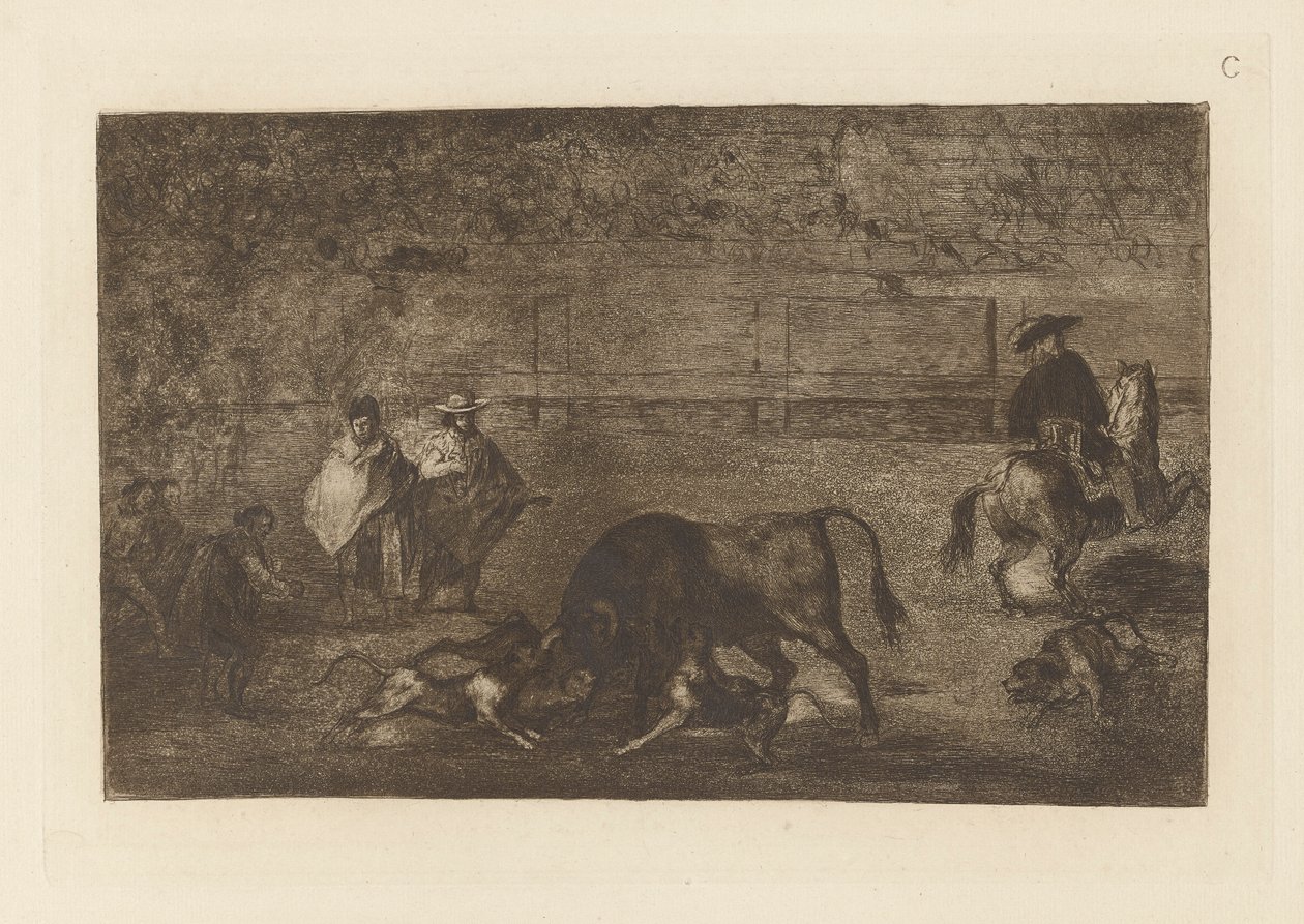 Psy puszczają byka, płyta C z La tauromaquia (wydanie trzecie) autorstwa Francisco de Goya