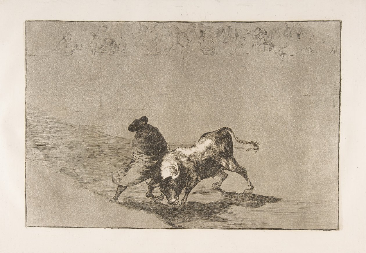 Tablica 14 z Tauromachii: Bardzo zręczny uczeń Falcesa, zawinięty w pelerynę..., 1816. autorstwa Francisco de Goya