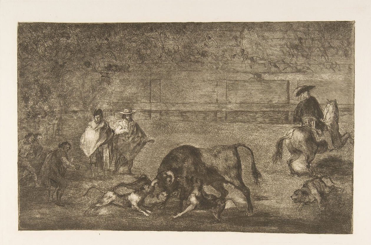 Tabliczka C: Psy wypuszczone na byka, ok. godz. 1816. autorstwa Francisco de Goya