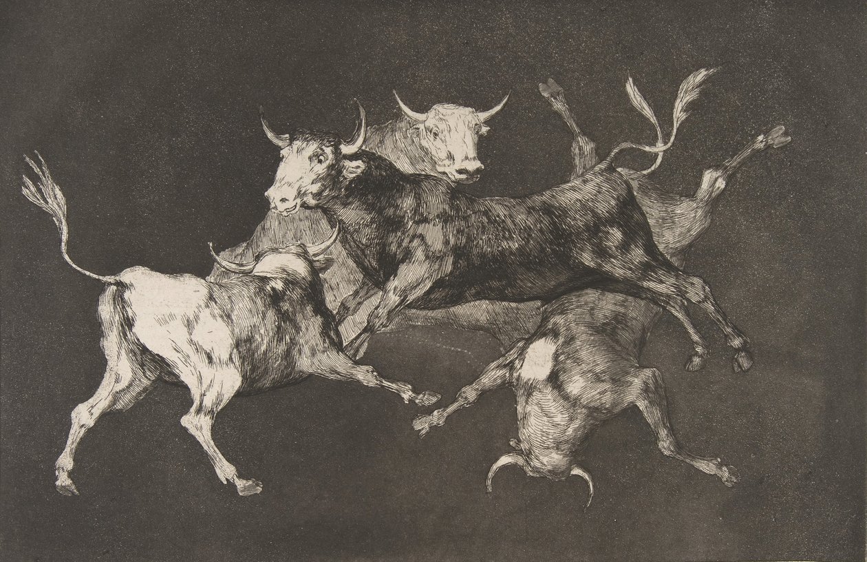 Tabliczka D z Disparates: Głupcy lub Byczki - fo..., ca. 1816-23 opublikowane przed 1877 r. autorstwa Francisco de Goya