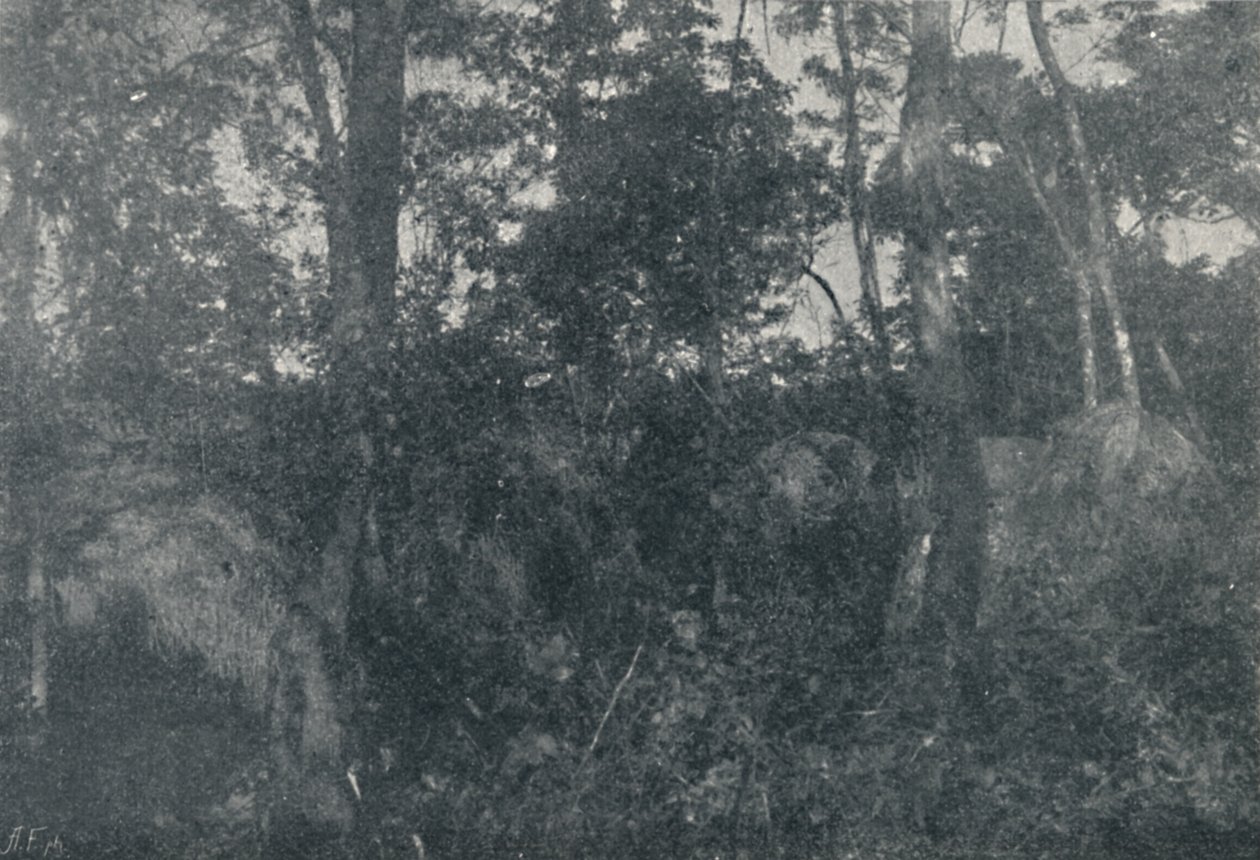 Kabiny indyjskie, 1895 autorstwa Francisco Henszler