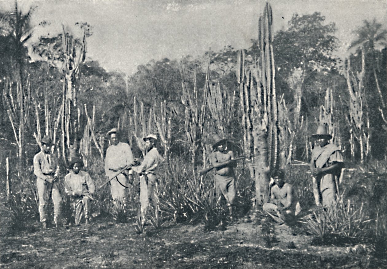Pola, 1895 autorstwa Francisco Henszler