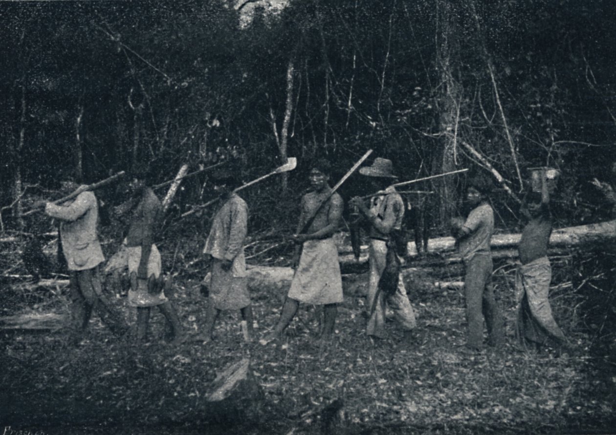 Indianie Guaran, powracający z Caþady, 1895 autorstwa Francisco Henszler