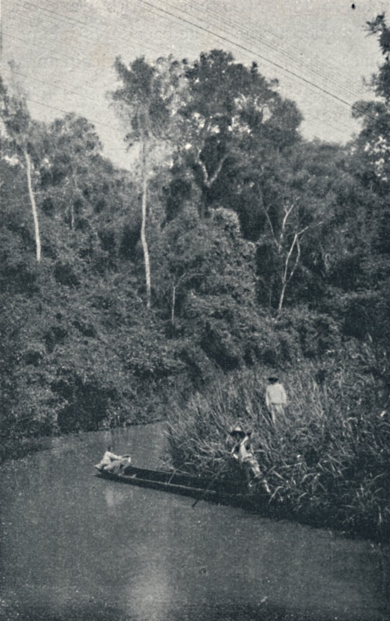 Rzeka S. Anastacio, 1895 autorstwa Francisco Henszler