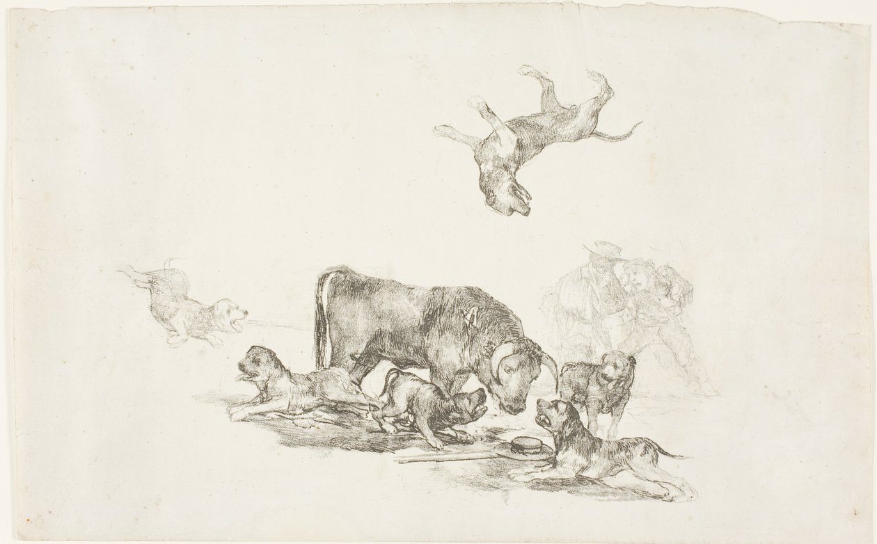 Byk zaatakowany przez psy autorstwa Francisco Jose de Goya y Lucientes