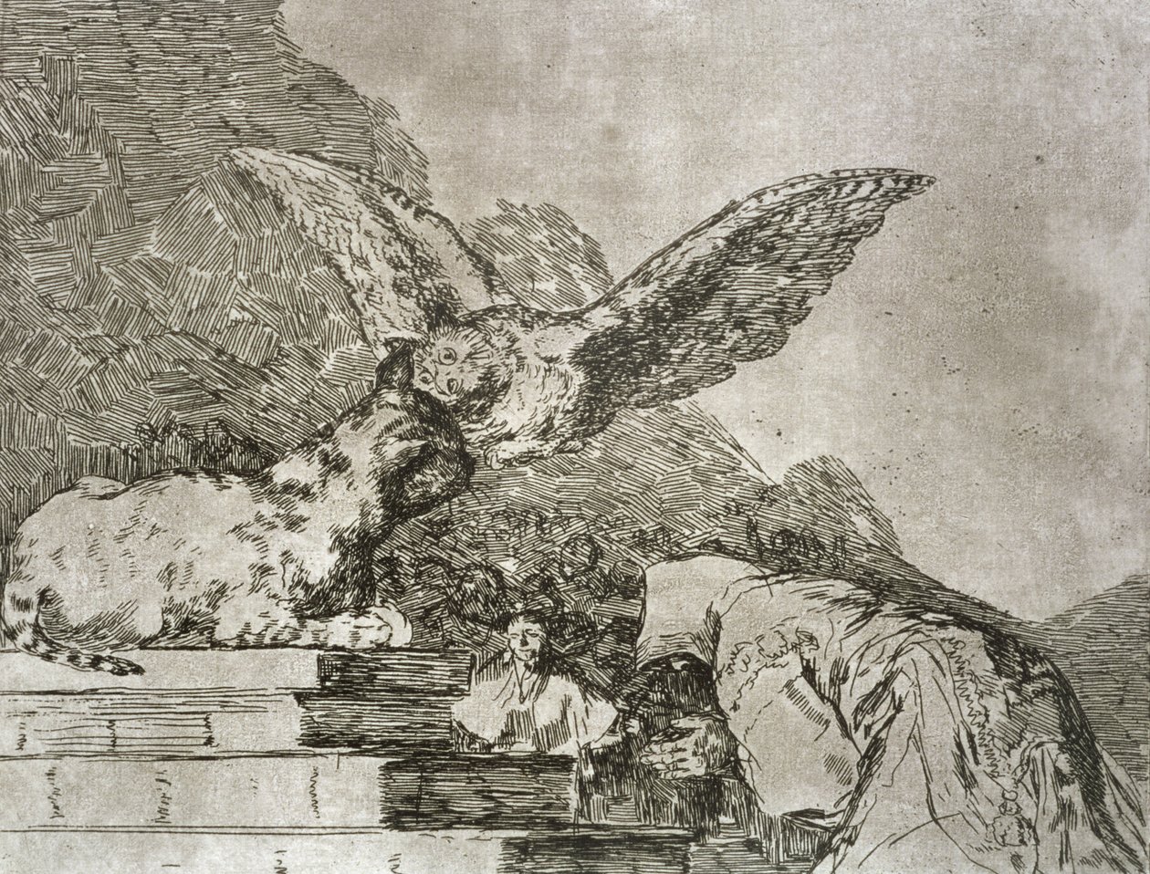Pantomima kotów, płyta 73 „Klęski wojny” autorstwa Francisco Jose de Goya y Lucientes