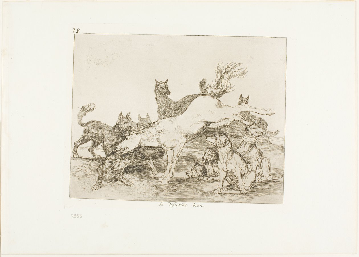 Dobrze się broni, płyta 78 z The Disasters of War autorstwa Francisco Jose de Goya y Lucientes