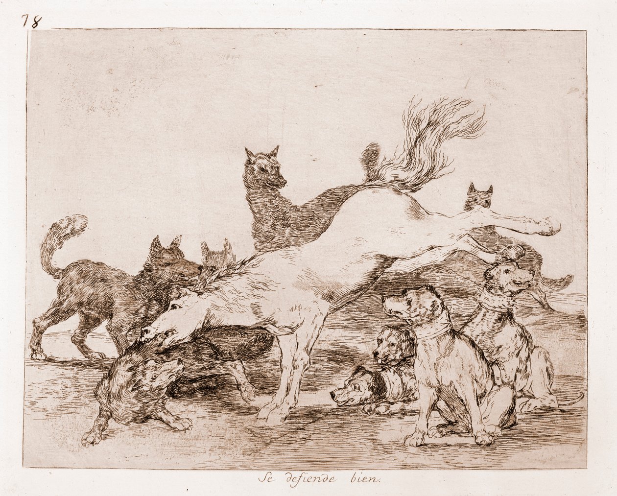 Katastrofy wojny : Dobrze się broni (akwaforta z rysunku przygotowawczego) autorstwa Francisco de Goya