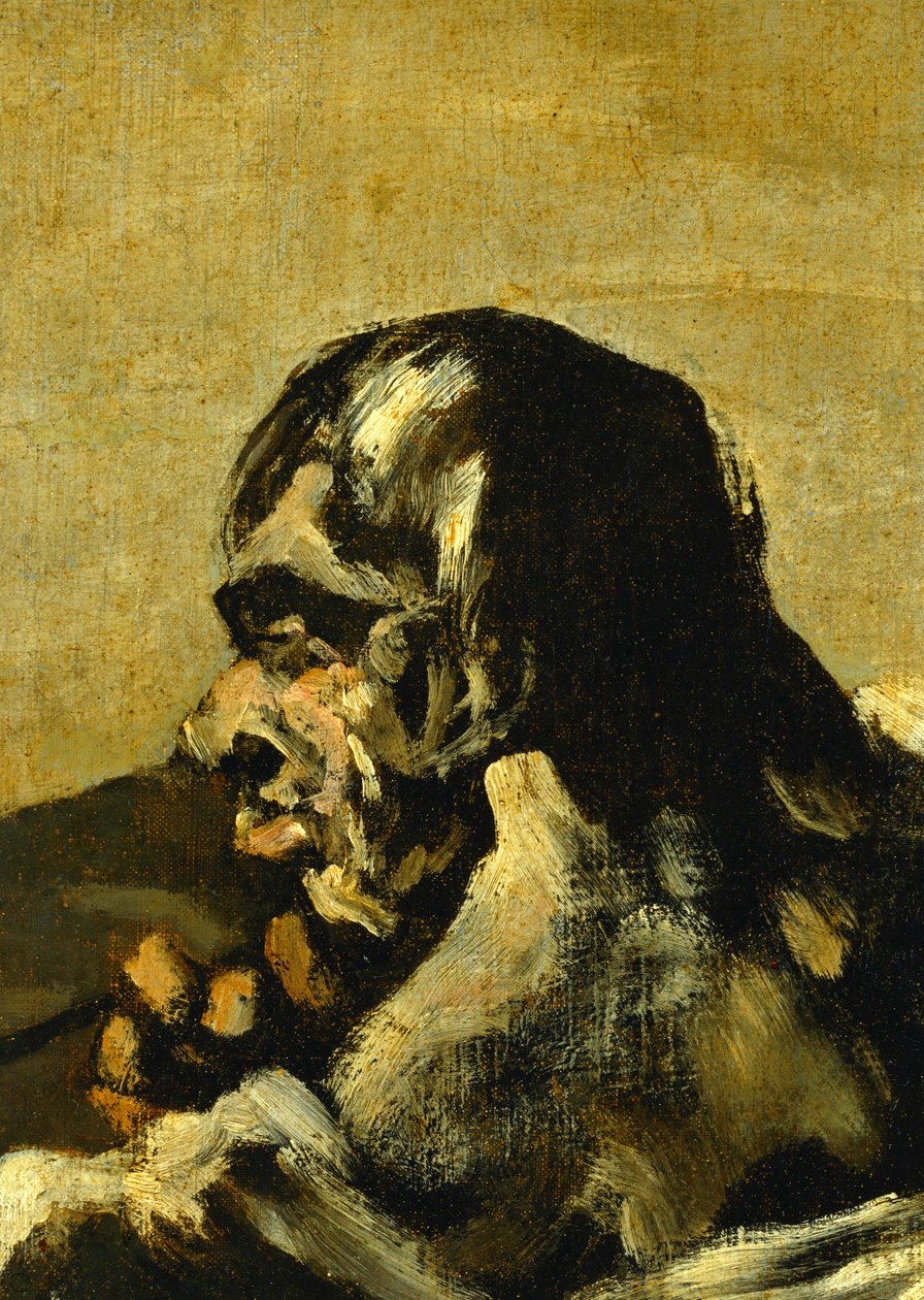 Losy ... (obraz na płótnie) autorstwa Francisco Jose de Goya y Lucientes