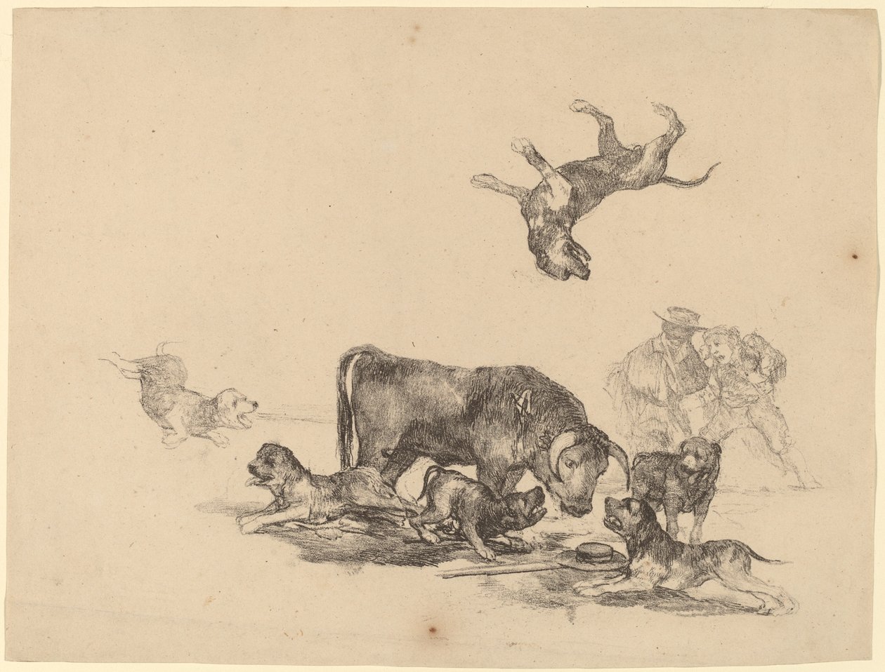 Byk zaatakowany przez psy autorstwa Francisco de Goya