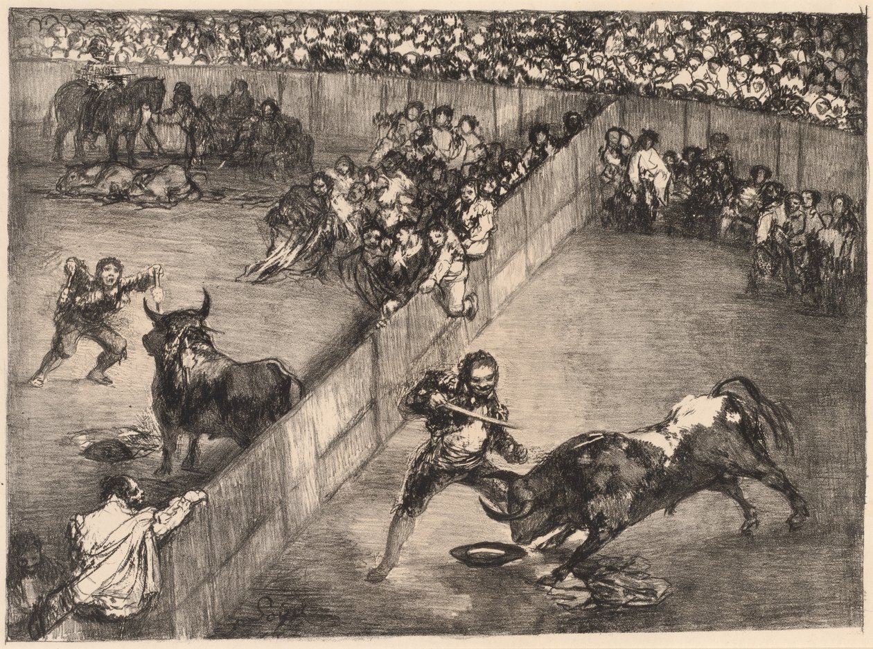 Walka byków w podzielonym pierścieniu autorstwa Francisco de Goya