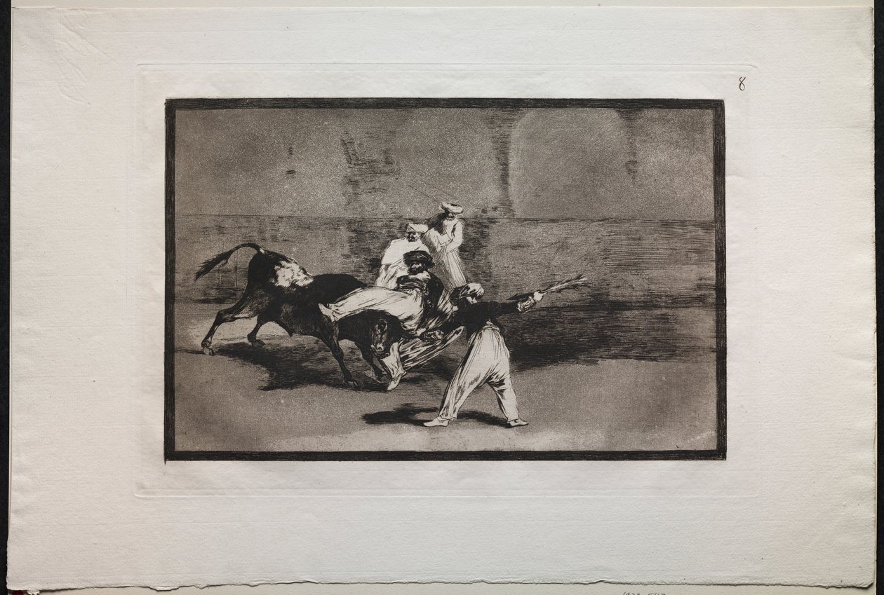 Walki byków: wrzosowisko złapane przez byka na ringu autorstwa Francisco de Goya