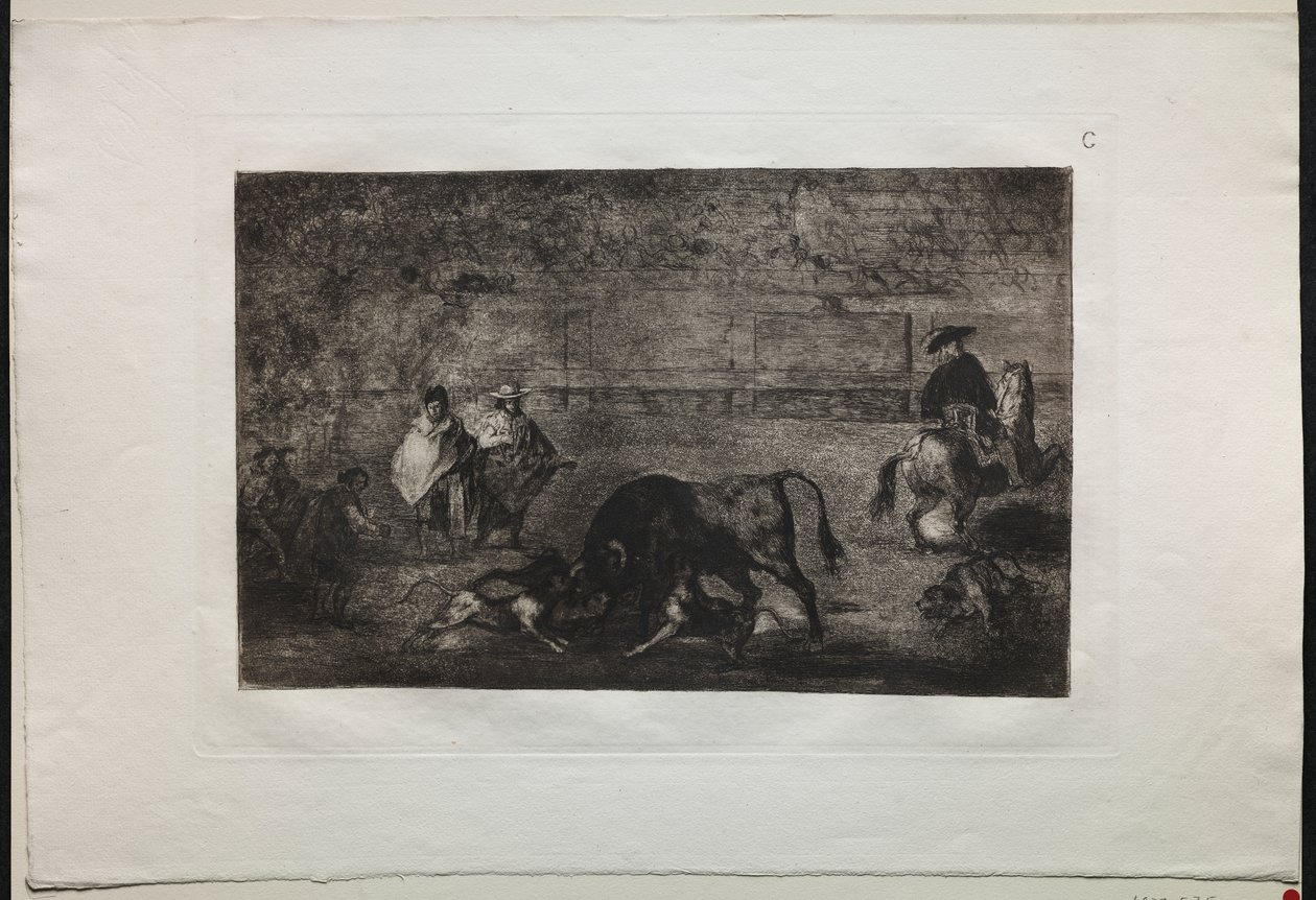 Walki byków: Pies wypuścił byka autorstwa Francisco de Goya
