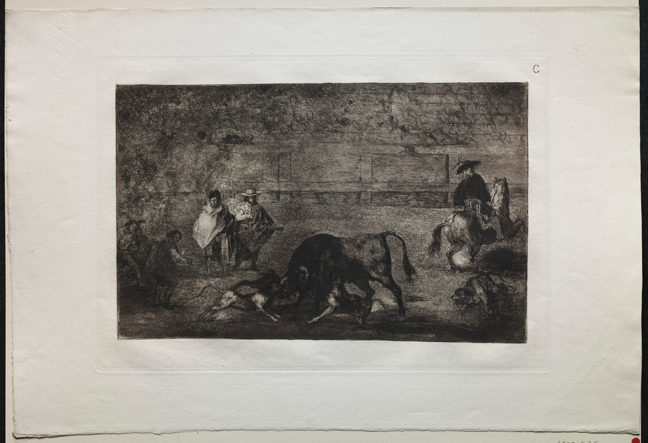 Walki byków: pies wypuścił byka, 1876. autorstwa Francisco de Goya