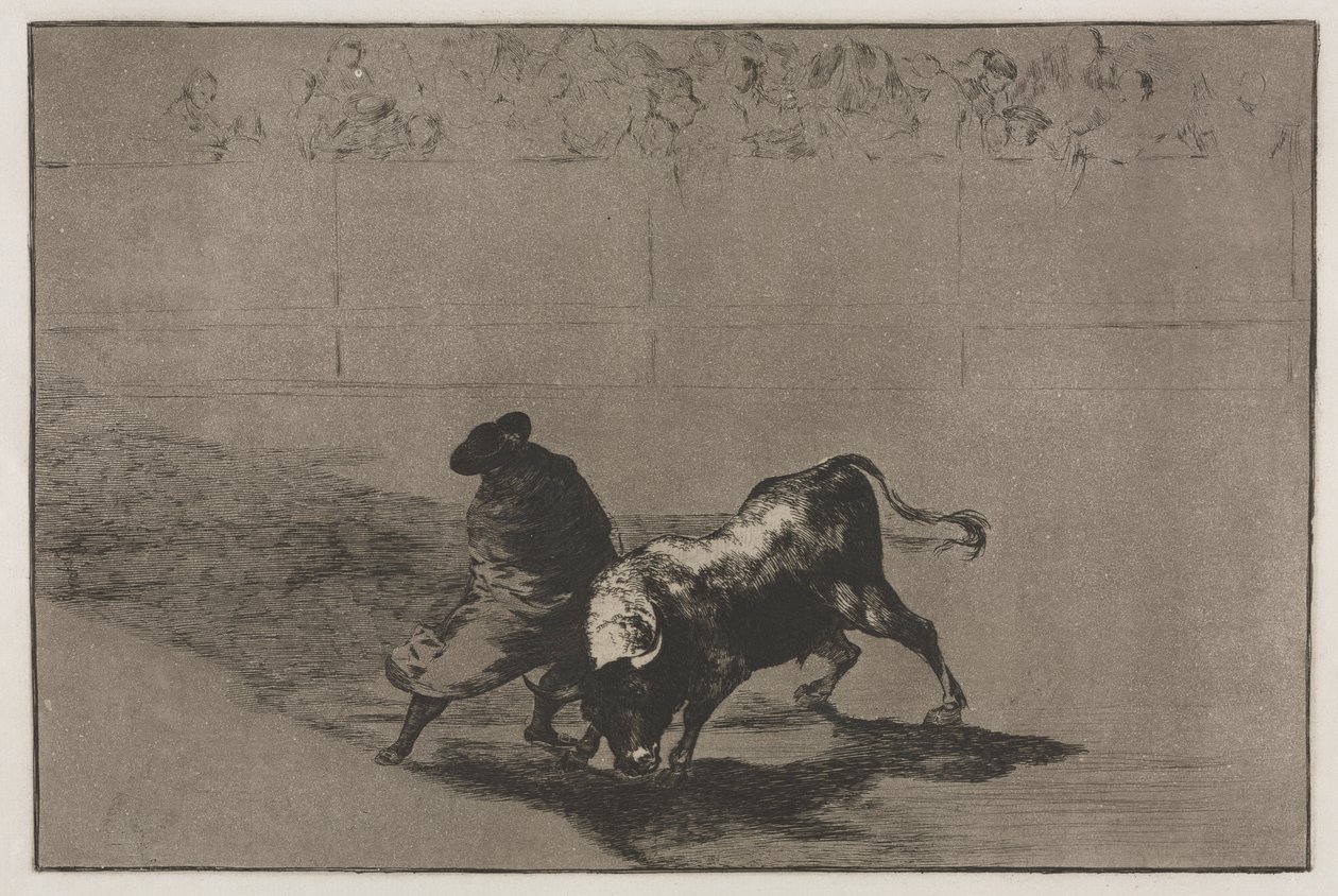 Walki byków: bardzo zręczny uczeń Falces, owinięty w pelerynę, oszukuje byka grą jego ciała autorstwa Francisco de Goya