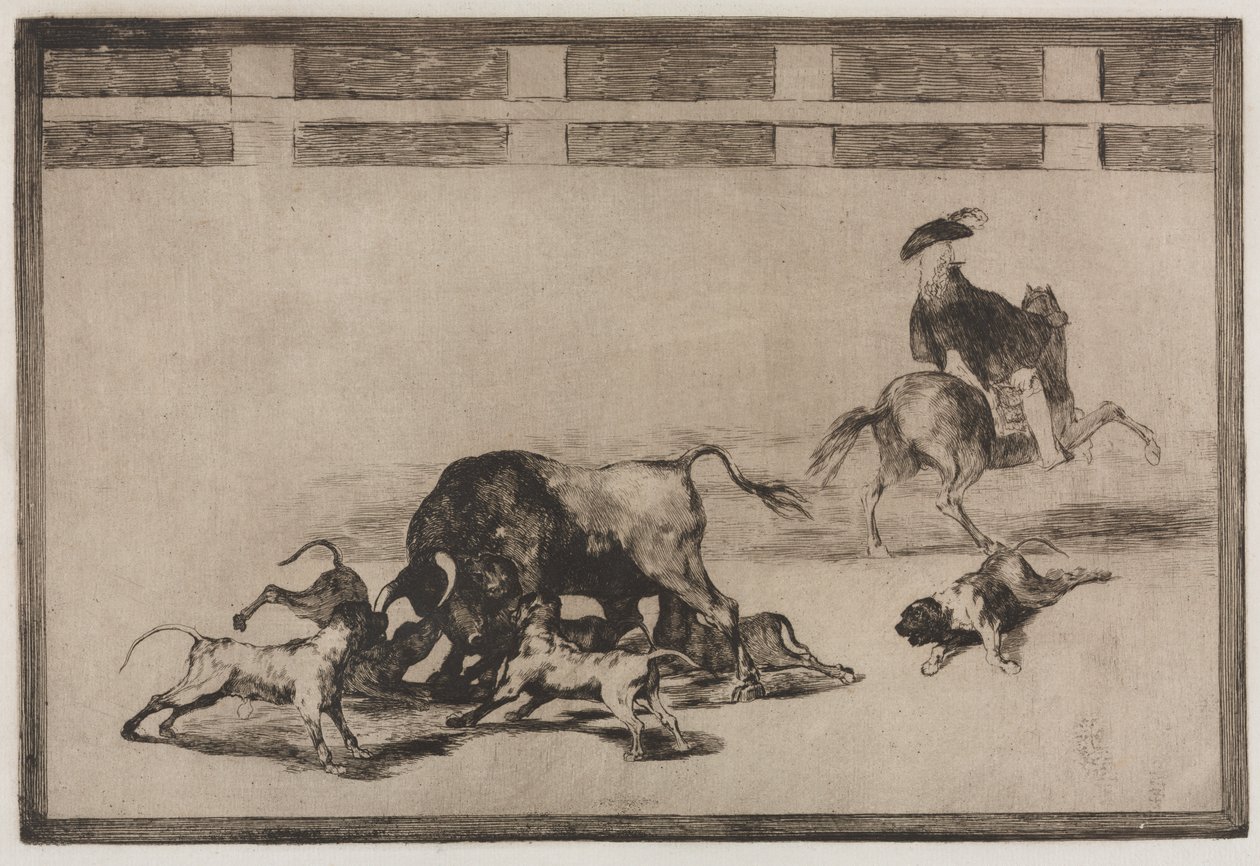 Walki byków: psy gubią byka autorstwa Francisco de Goya