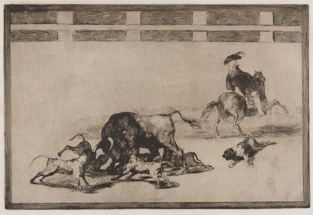 Walki byków: Loose Dogs on the Bull, 1876. autorstwa Francisco de Goya