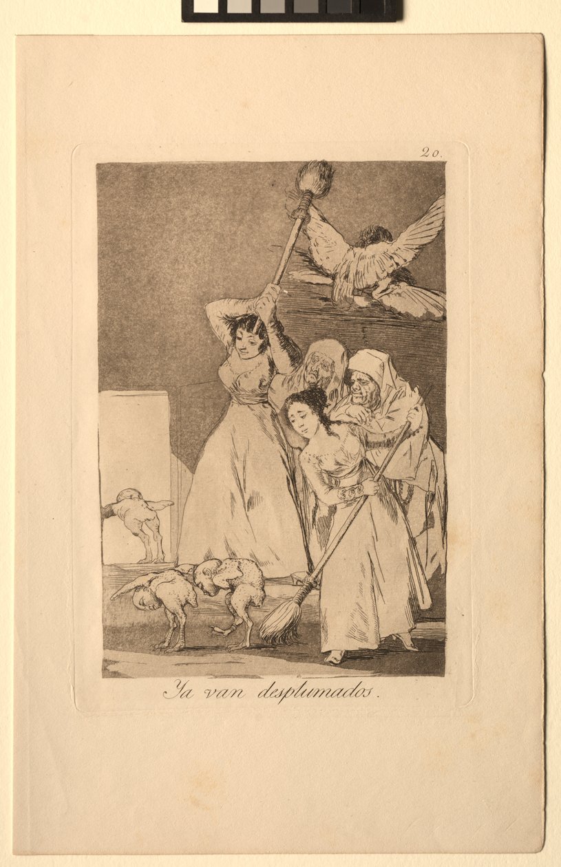 Caprichos: There Go Plucked, czyli z runa. autorstwa Francisco de Goya