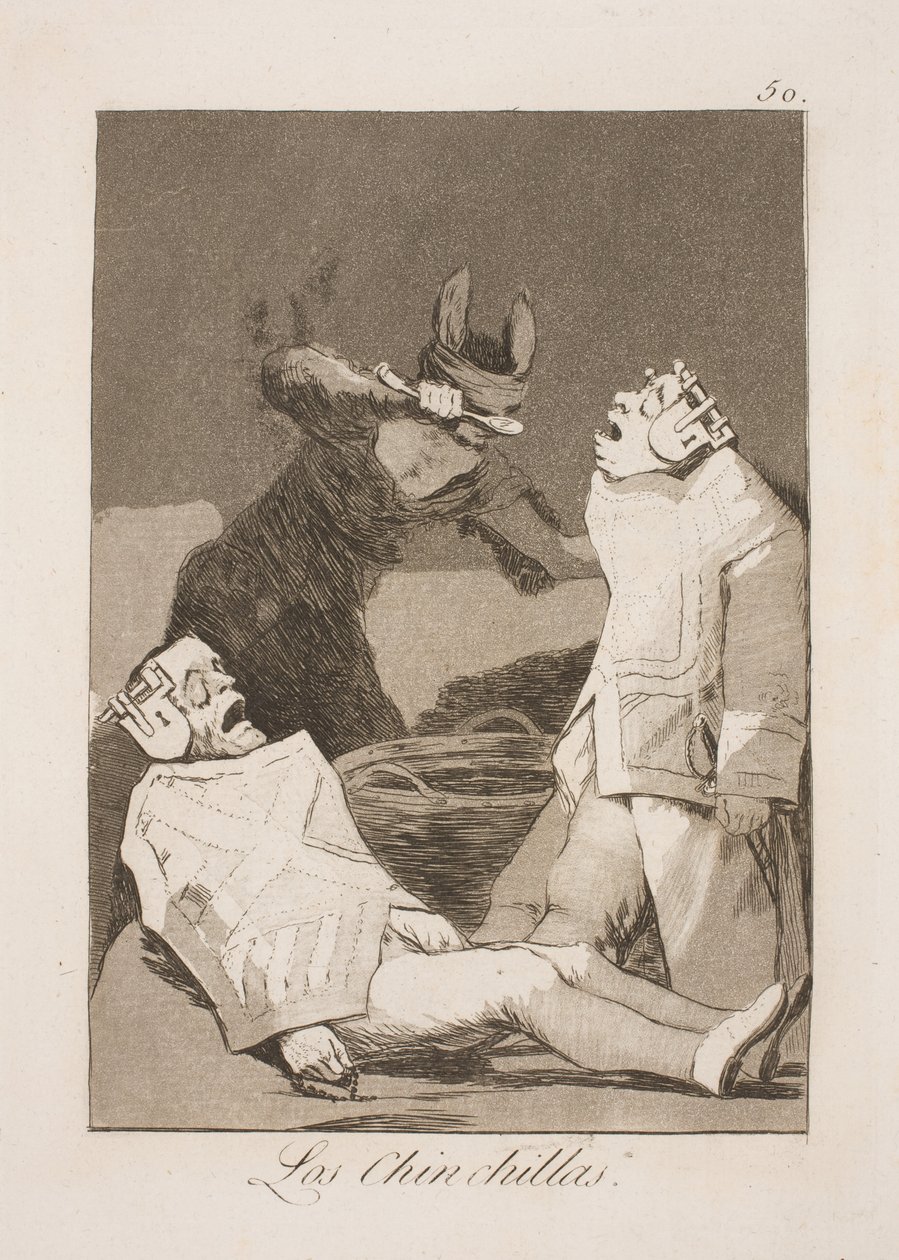 Szynszylowiec autorstwa Francisco de Goya