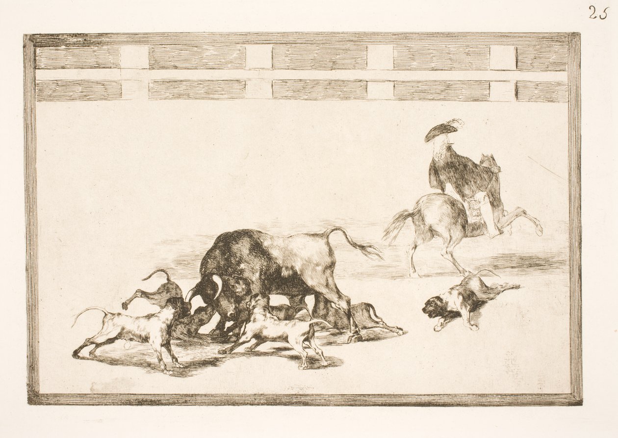 Polerują psy na byku autorstwa Francisco de Goya