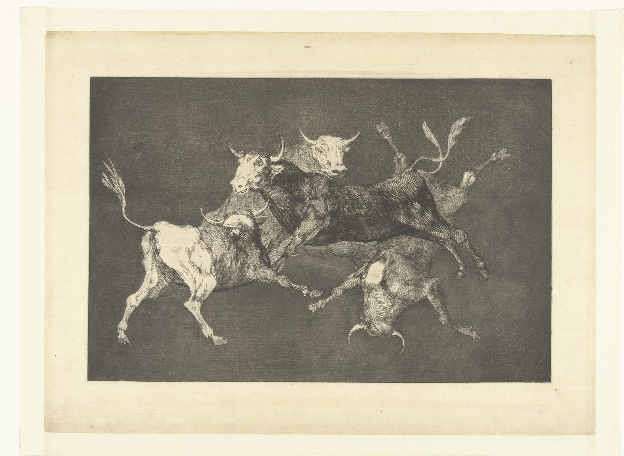Głupota Małych Byków Odmienne de tontos Los Disparates (The Follies) (tytuł serii) Los Proverbios (Przysłowia) (tytuł serii) autorstwa Francisco de Goya