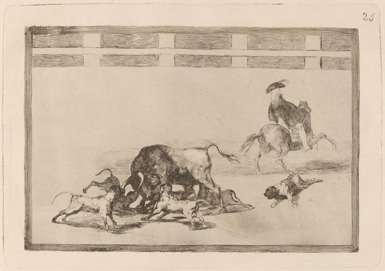Echan perros al toro (Wypuszczają psy na byka) autorstwa Francisco de Goya