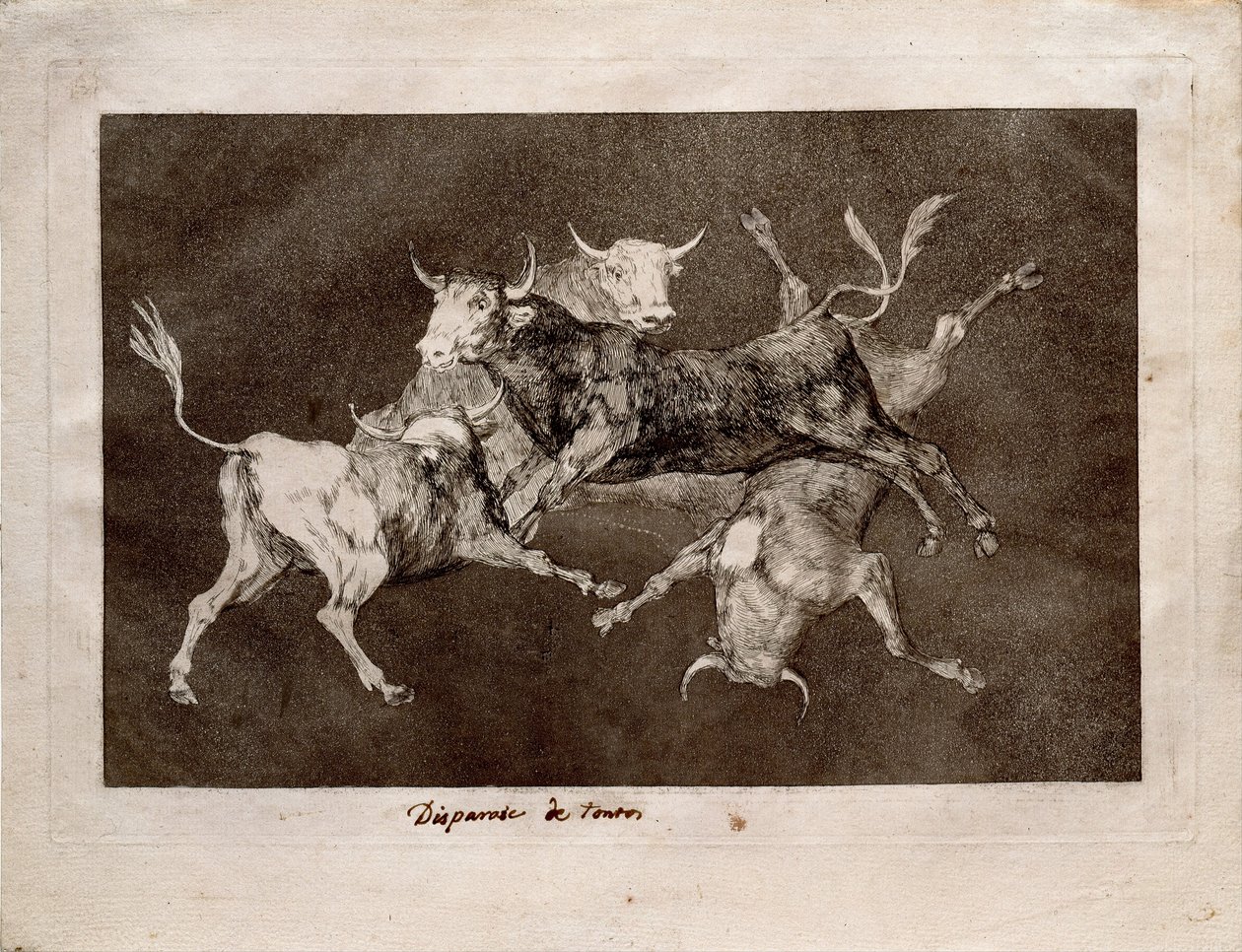Fools Folly z serii Los Disparates Follies, 1815-1819 autorstwa Francisco de Goya