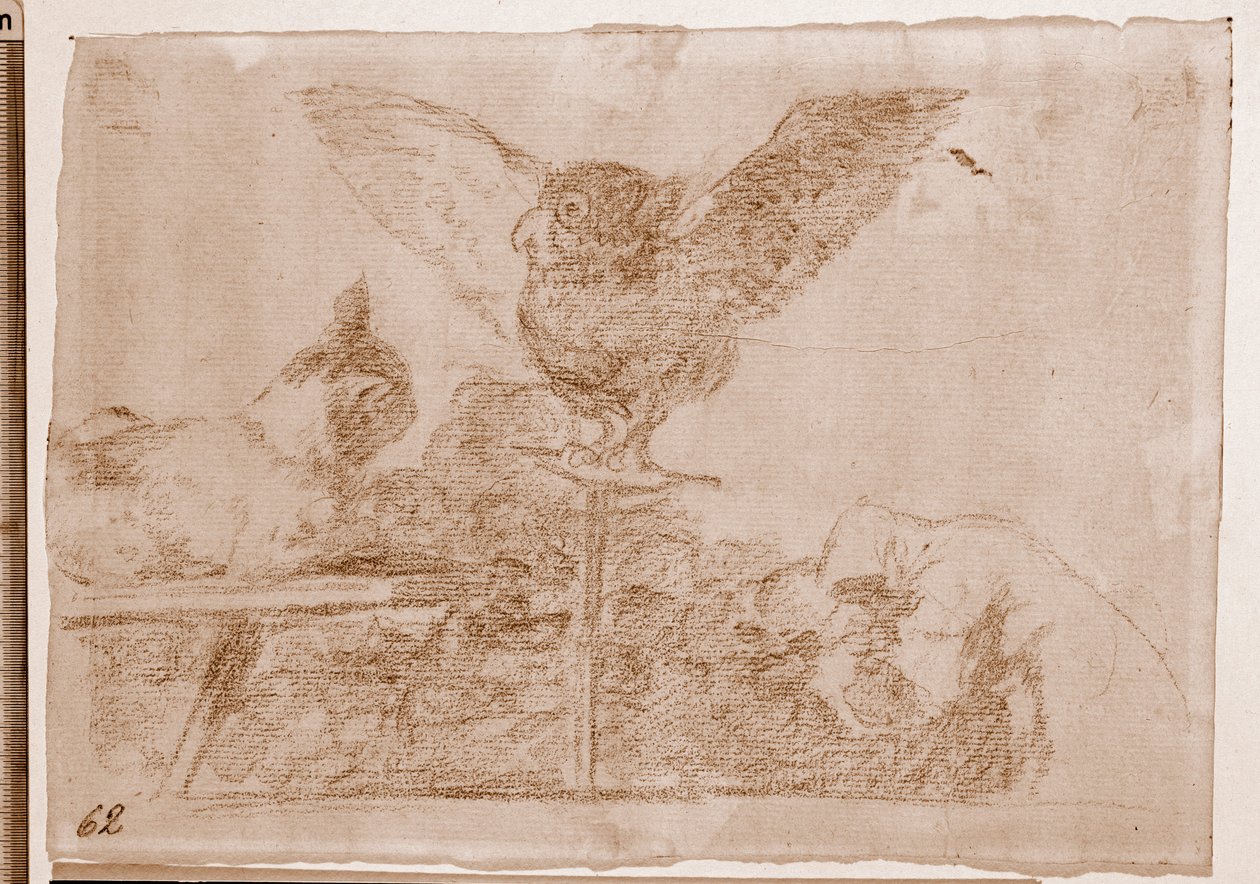 Katastrofy wojny: Cat Pantomima (rysunek przygotowawczy) autorstwa Francisco de Goya