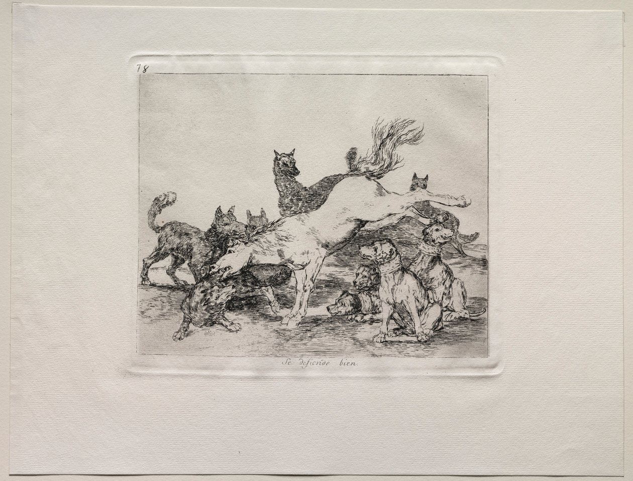 Okropności wojny: dobrze się broni. autorstwa Francisco de Goya