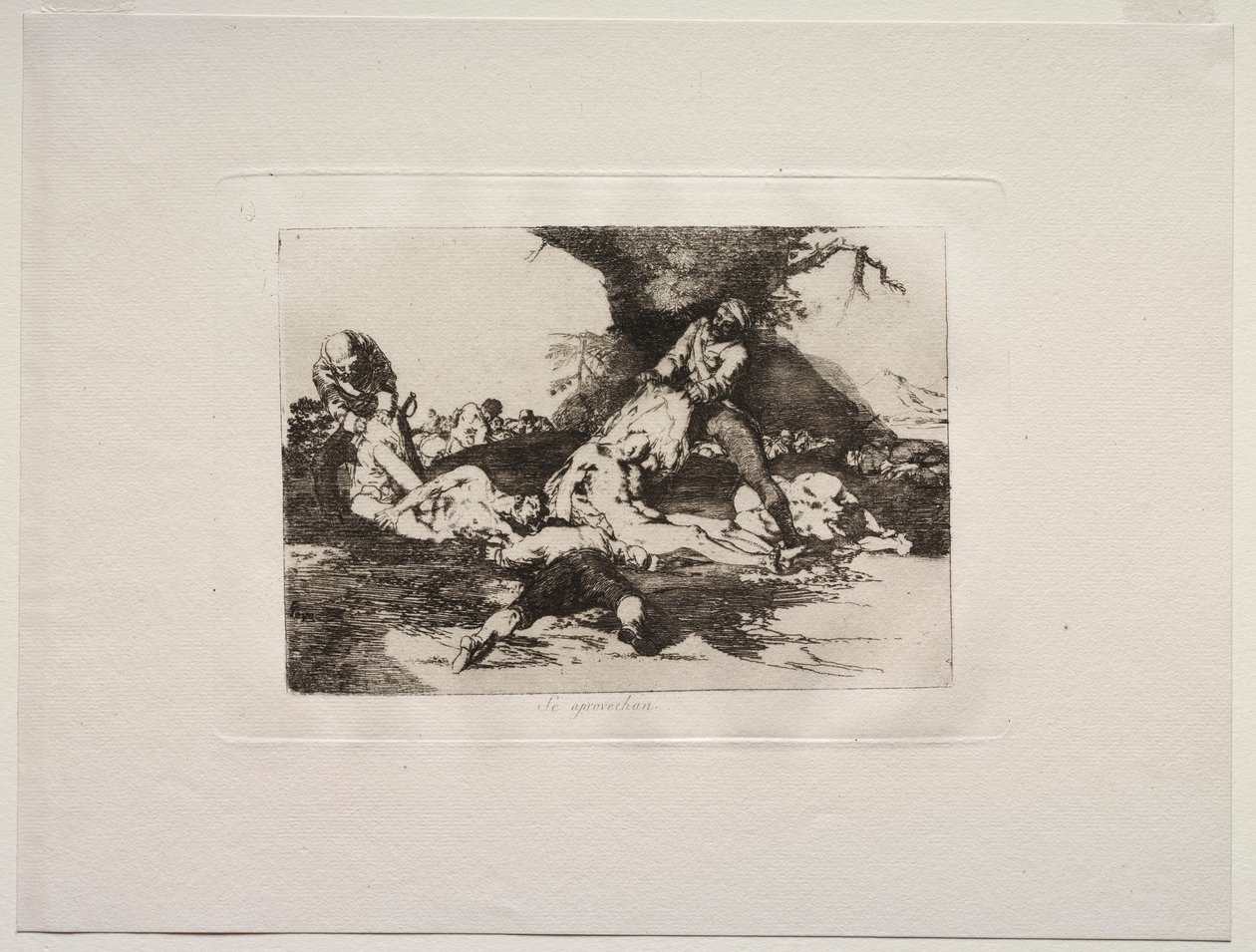 Horrory wojny: robią z nich użytek. autorstwa Francisco de Goya
