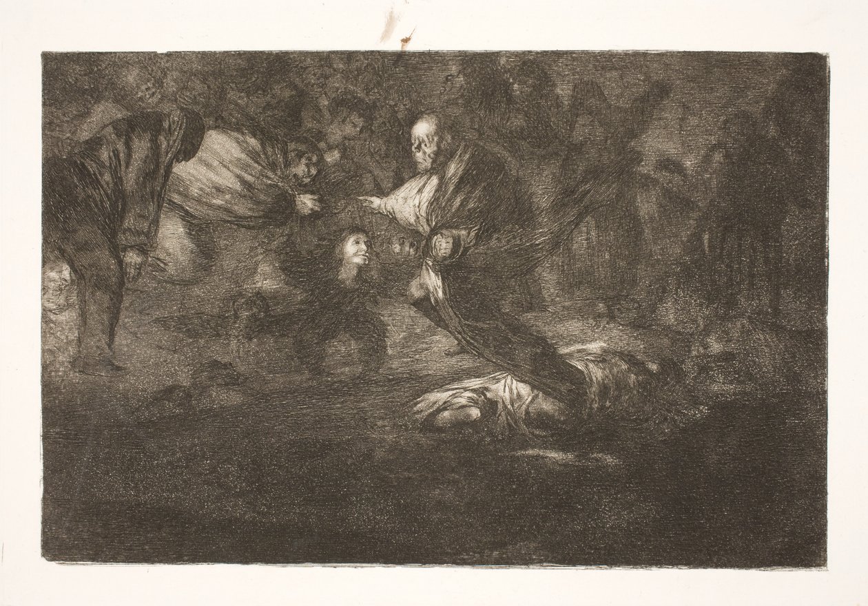 Nasz Pan je tworzy i kończą w pięknym związku / Ptaki tego samego pióra latają w stadach autorstwa Francisco de Goya