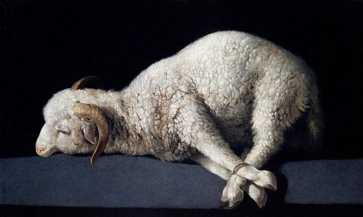 Agnus Dei autorstwa Francisco de Zurbaran